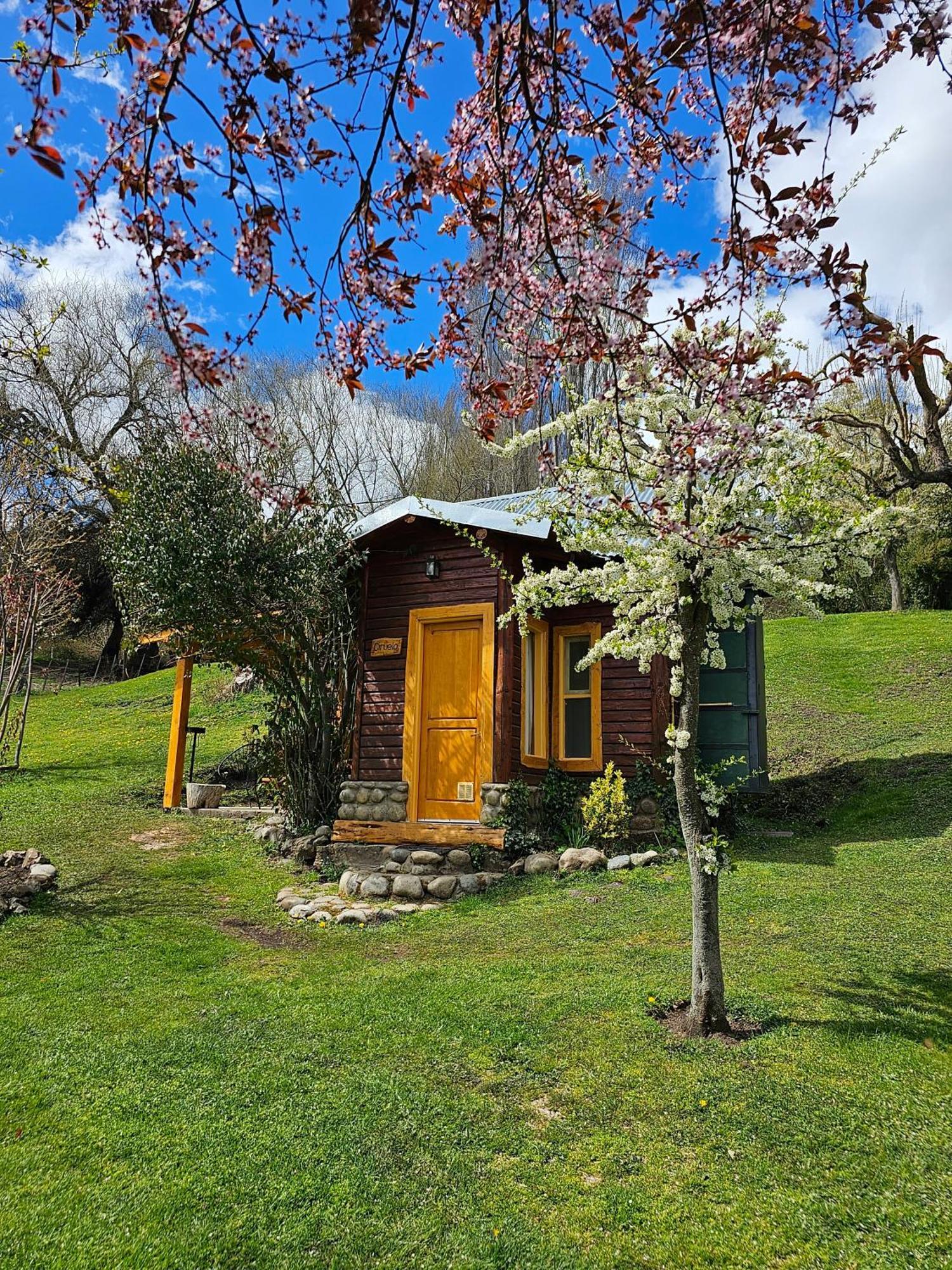 La Yaya - Villa Turismo Эль-Больсон Экстерьер фото